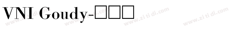 VNI Goudy字体转换